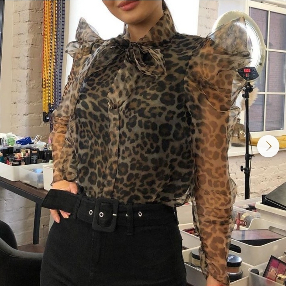 NWT Zara Animal Print Organza Top